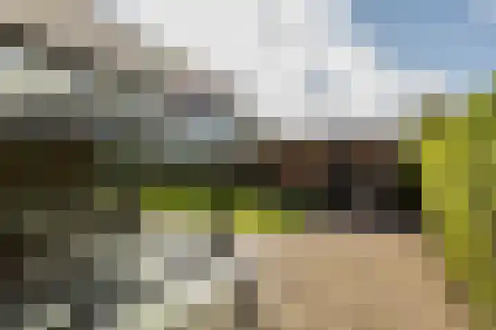 Ruisvoorn 6 Vlijmen thumbnail 41