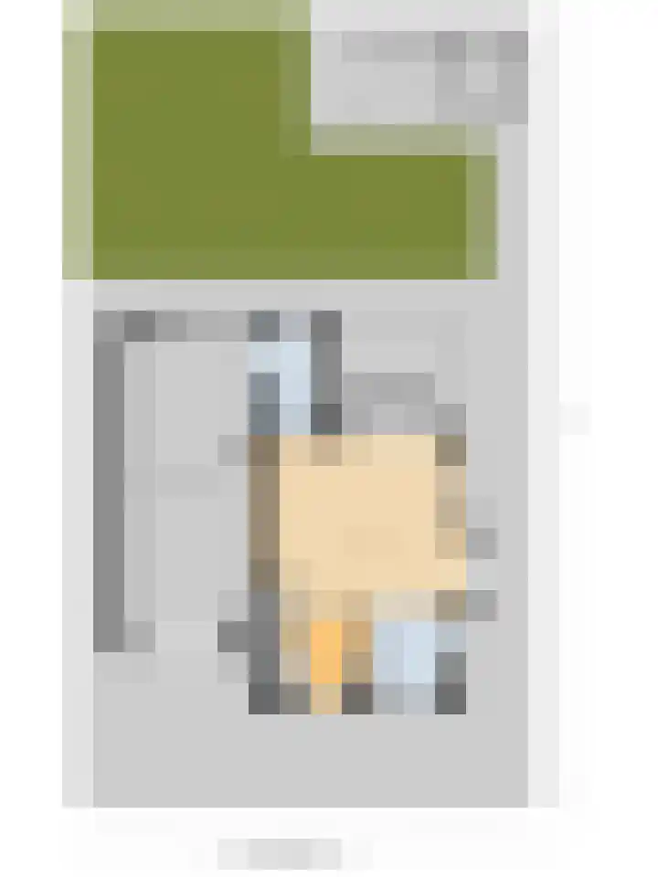 Ruisvoorn 6 Vlijmen thumbnail 43