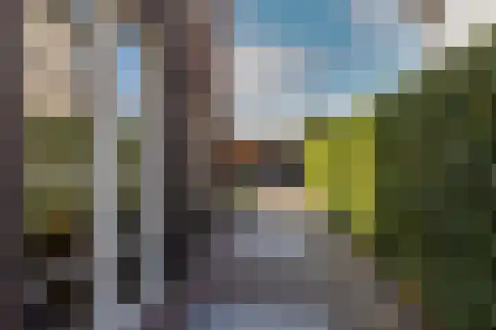 Ruisvoorn 6 Vlijmen thumbnail 44