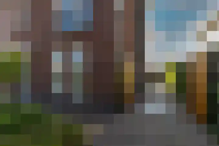 Ruisvoorn 6 Vlijmen thumbnail 45