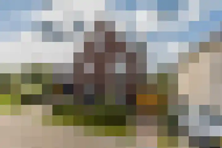 Ruisvoorn 6 Vlijmen thumbnail 46