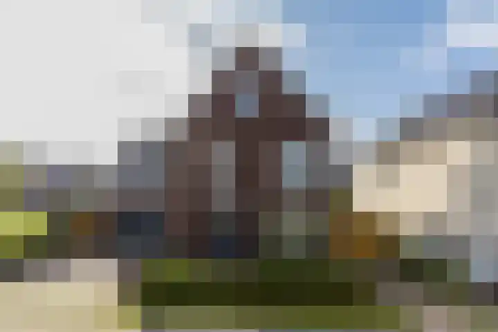 Ruisvoorn 6 Vlijmen thumbnail 47