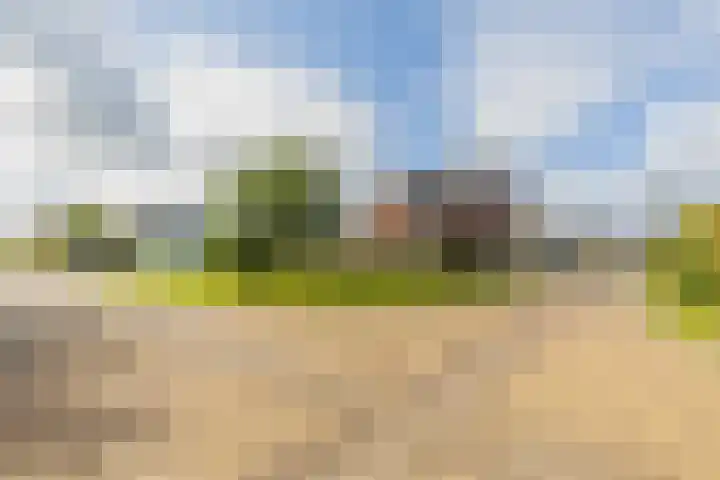 Ruisvoorn 6 Vlijmen thumbnail 49
