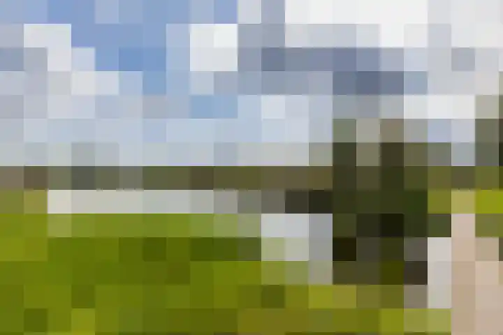 Ruisvoorn 6 Vlijmen thumbnail 50
