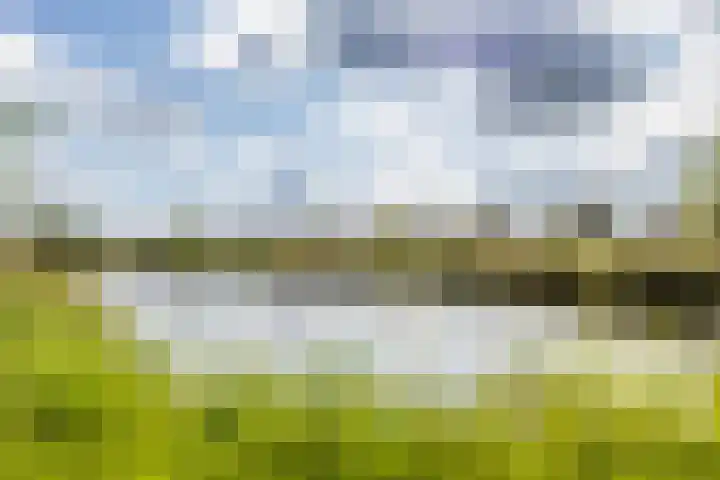 Ruisvoorn 6 Vlijmen thumbnail 51