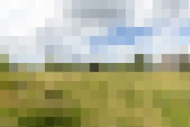 Ruisvoorn 6 Vlijmen thumbnail 52