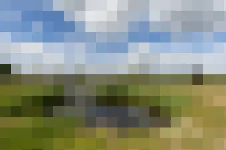 Ruisvoorn 6 Vlijmen thumbnail 53