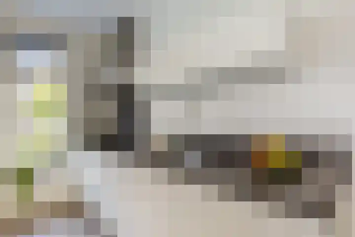 Ruisvoorn 6 Vlijmen thumbnail 6