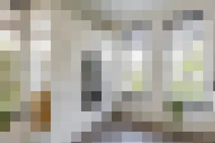Ruisvoorn 6 Vlijmen thumbnail 7