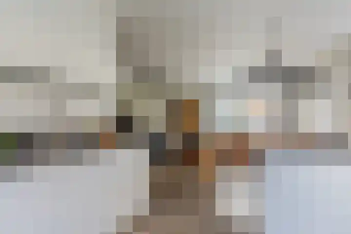 Ruisvoorn 6 Vlijmen thumbnail 8