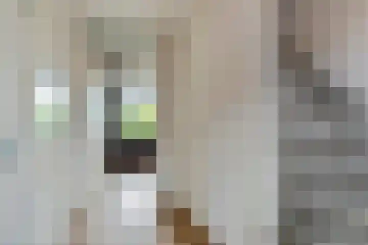 Ruisvoorn 65 Tiel thumbnail 11