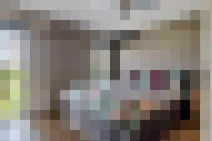 Ruisvoorn 65 Tiel thumbnail 12
