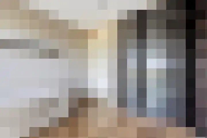 Ruisvoorn 65 Tiel thumbnail 15