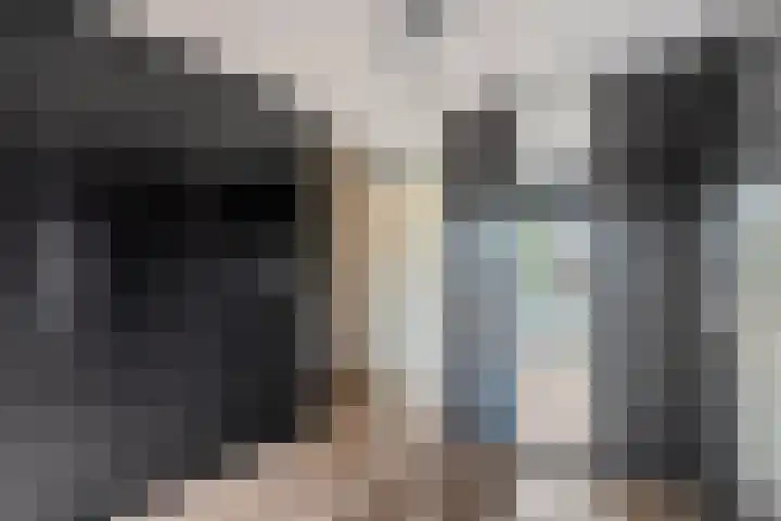 Ruisvoorn 65 Tiel thumbnail 17