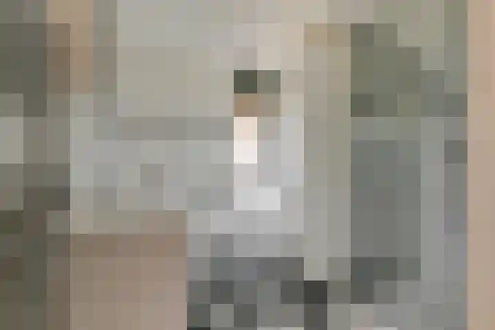 Ruisvoorn 65 Tiel thumbnail 18