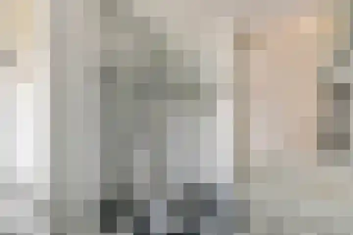 Ruisvoorn 65 Tiel thumbnail 19