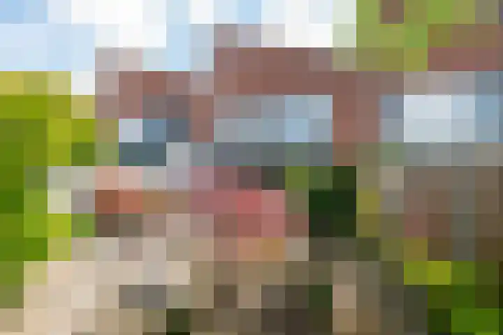Ruisvoorn 65 Tiel foto 2