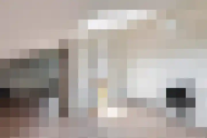 Ruisvoorn 65 Tiel thumbnail 22