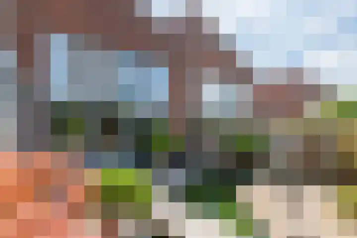 Ruisvoorn 65 Tiel thumbnail 25