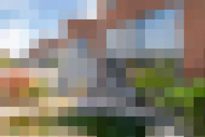 Ruisvoorn 65 Tiel thumbnail 26