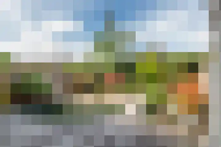 Ruisvoorn 65 Tiel thumbnail 27