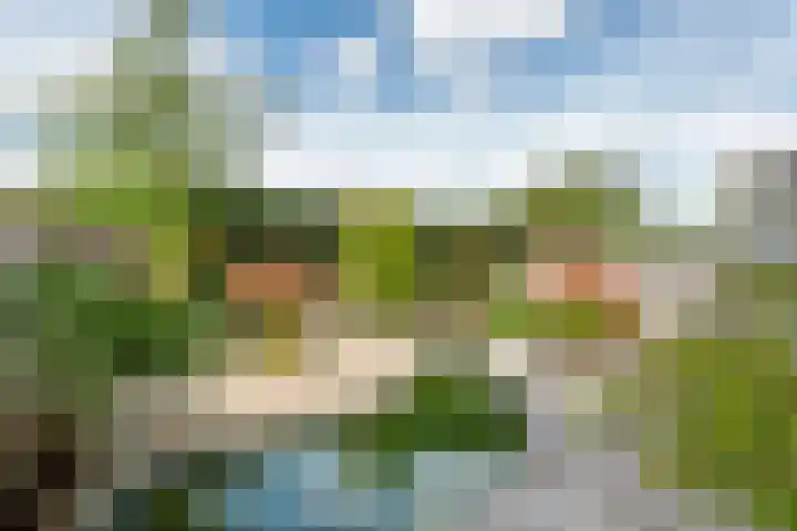 Ruisvoorn 65 Tiel thumbnail 28