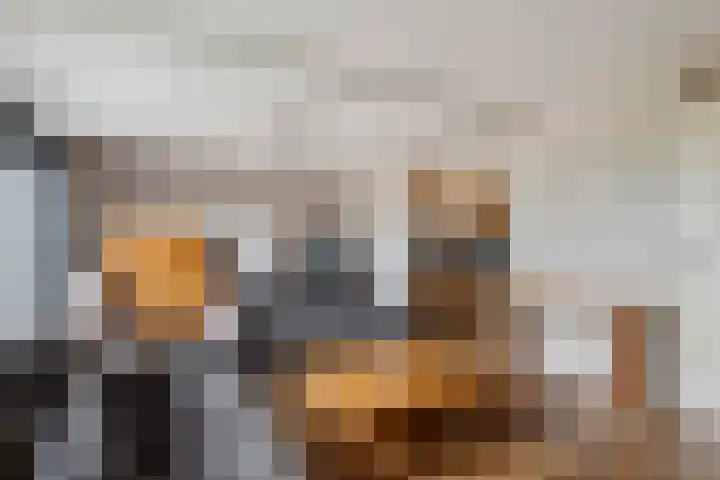 Ruisvoorn 65 Tiel thumbnail 5