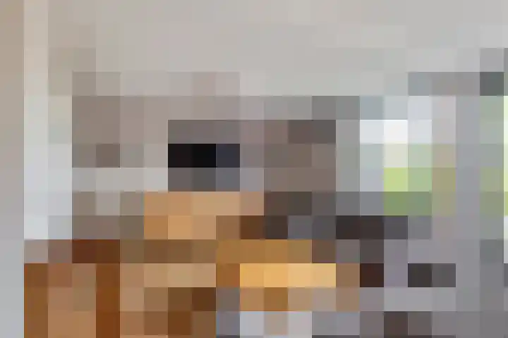 Ruisvoorn 65 Tiel thumbnail 6