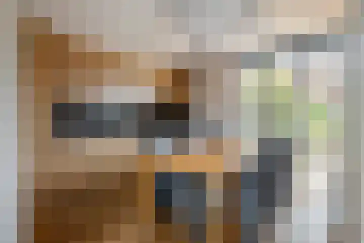 Ruisvoorn 65 Tiel thumbnail 7
