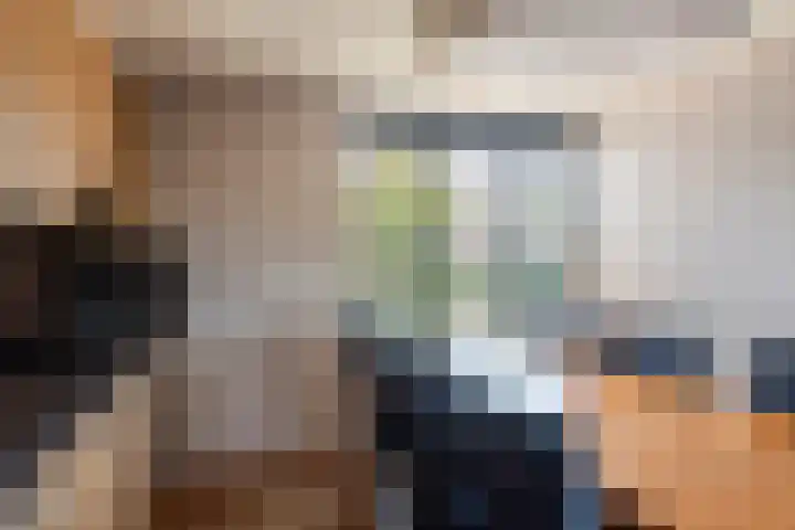 Ruisvoorn 65 Tiel thumbnail 9