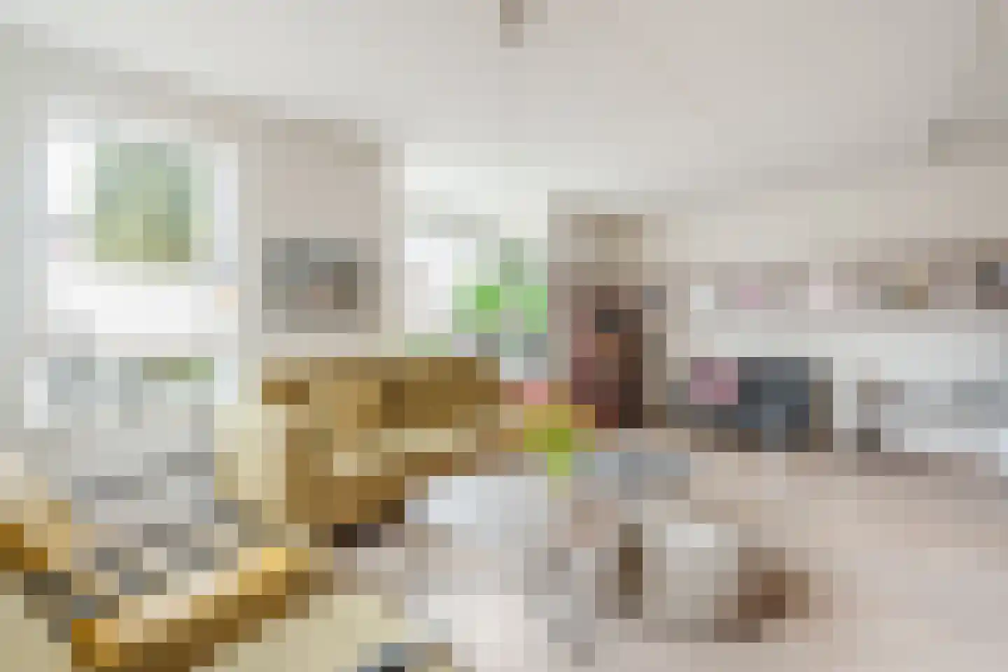 Ruisvoorn 8 Hoogeveen thumbnail 17