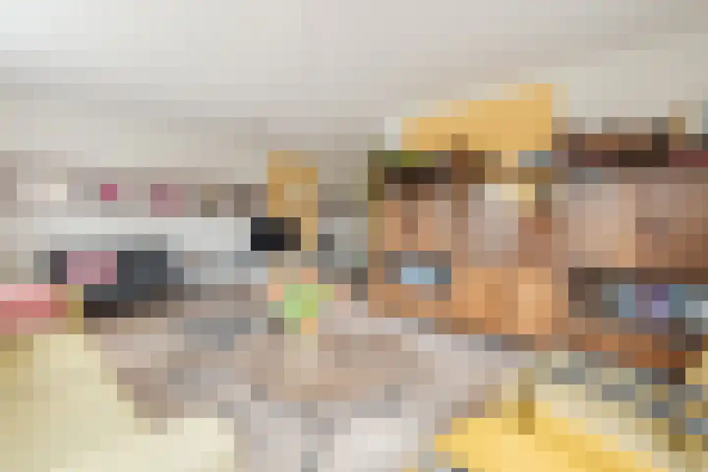 Ruisvoorn 8 Hoogeveen thumbnail 19