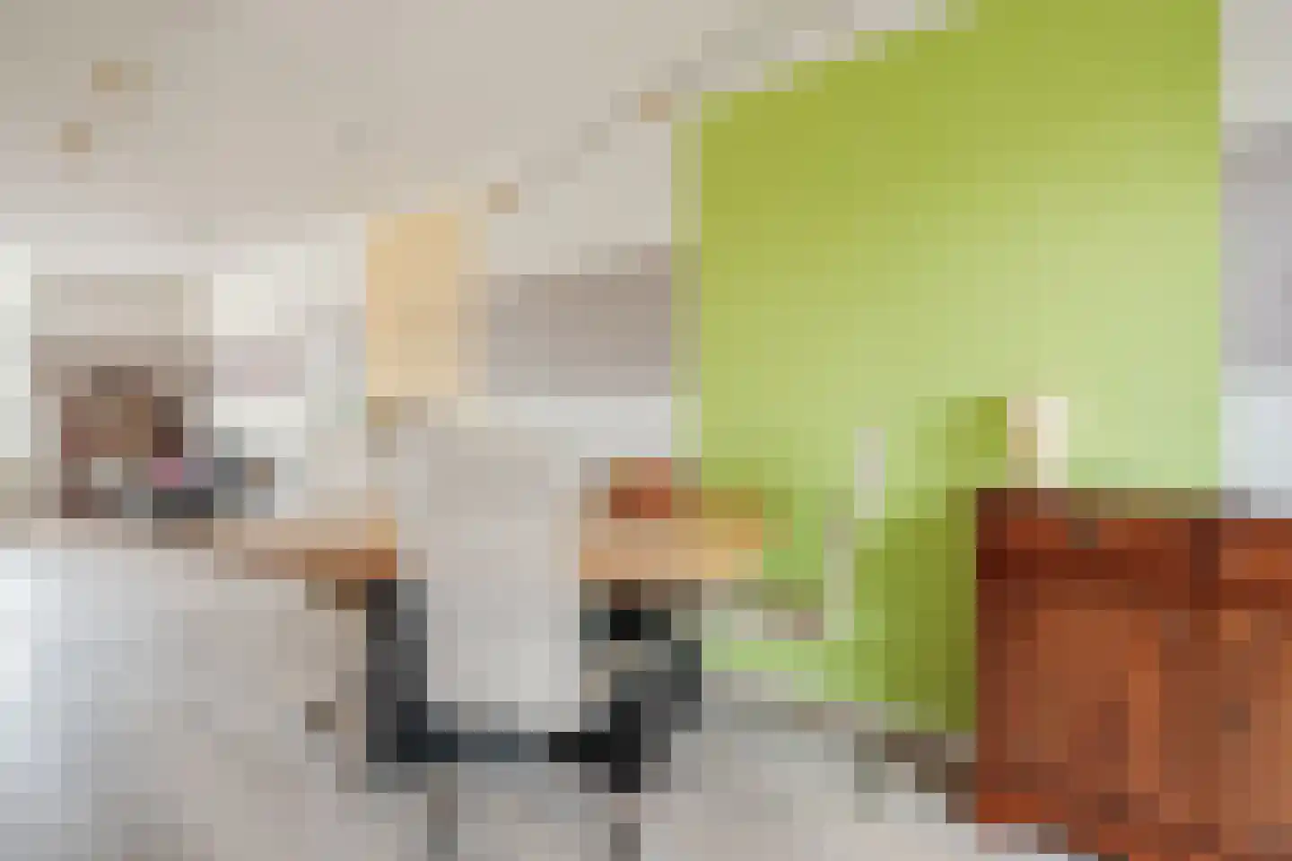 Ruisvoorn 8 Hoogeveen thumbnail 24