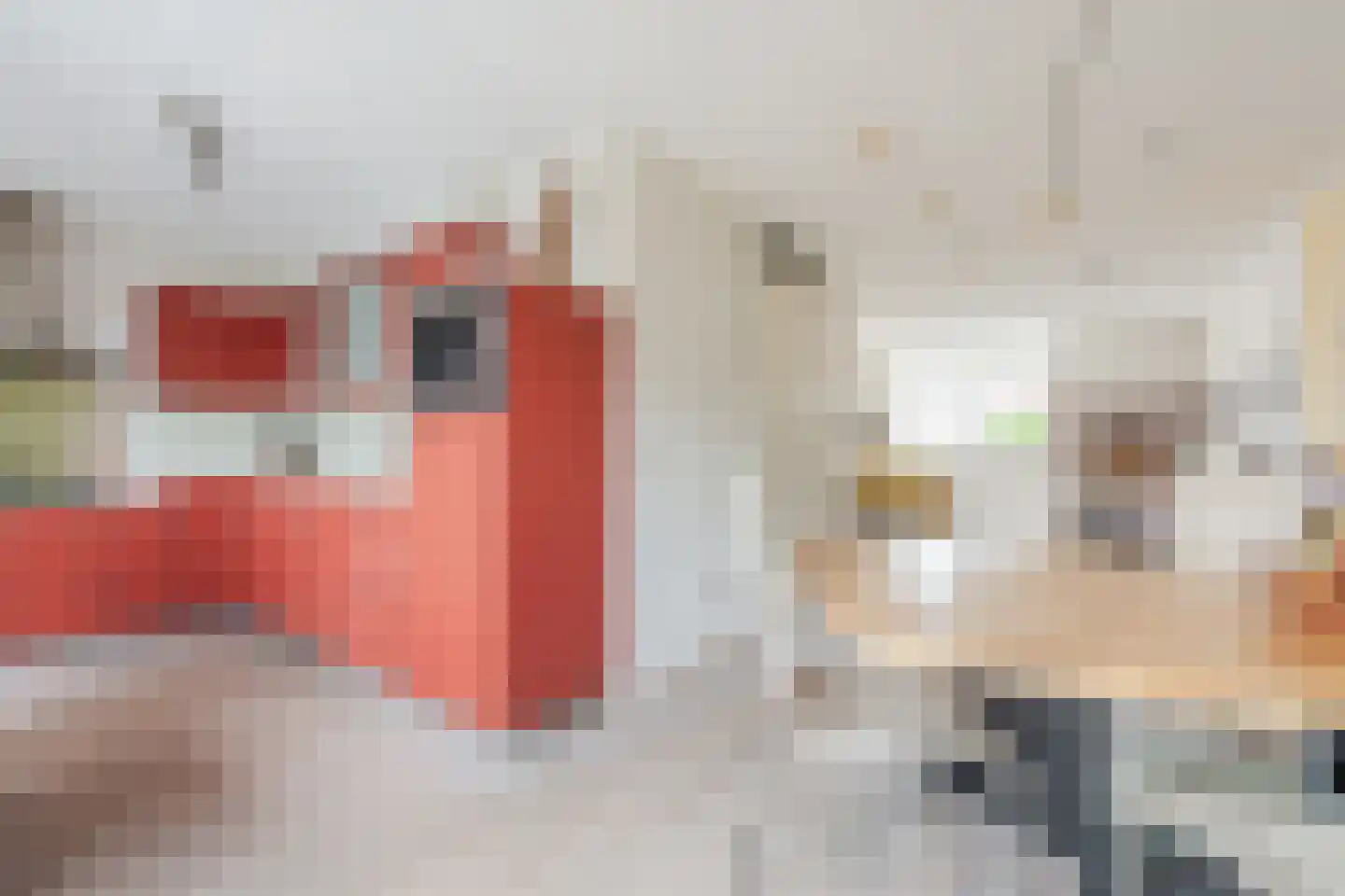 Ruisvoorn 8 Hoogeveen thumbnail 25