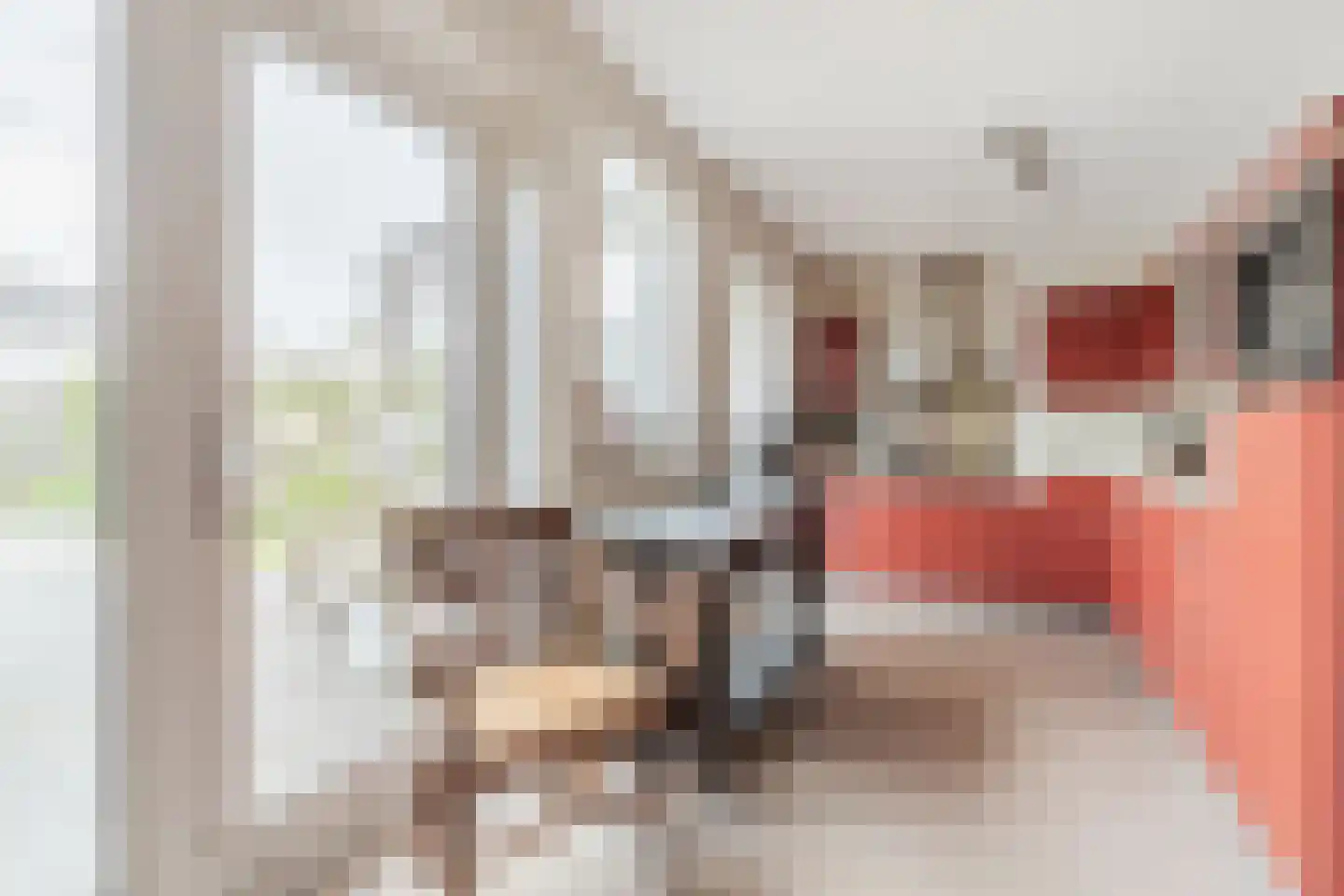 Ruisvoorn 8 Hoogeveen thumbnail 26
