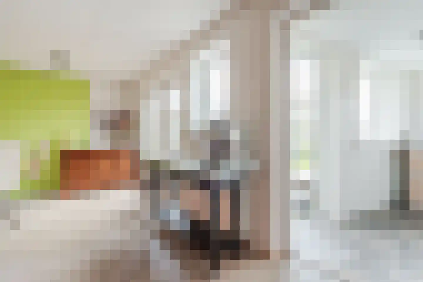 Ruisvoorn 8 Hoogeveen thumbnail 31