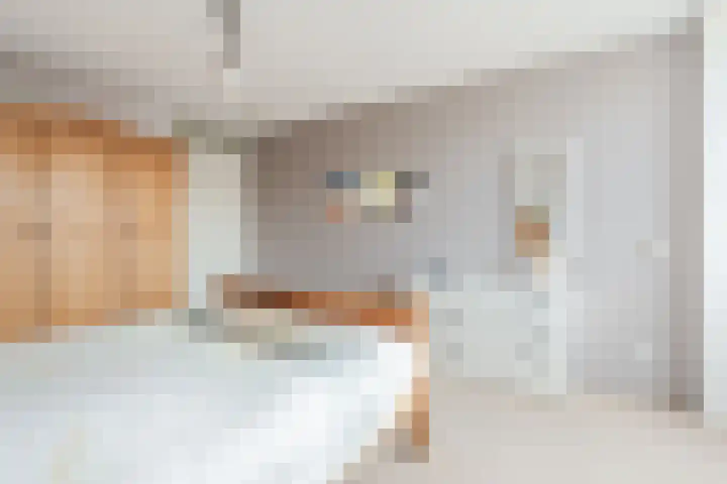 Ruisvoorn 8 Hoogeveen thumbnail 35