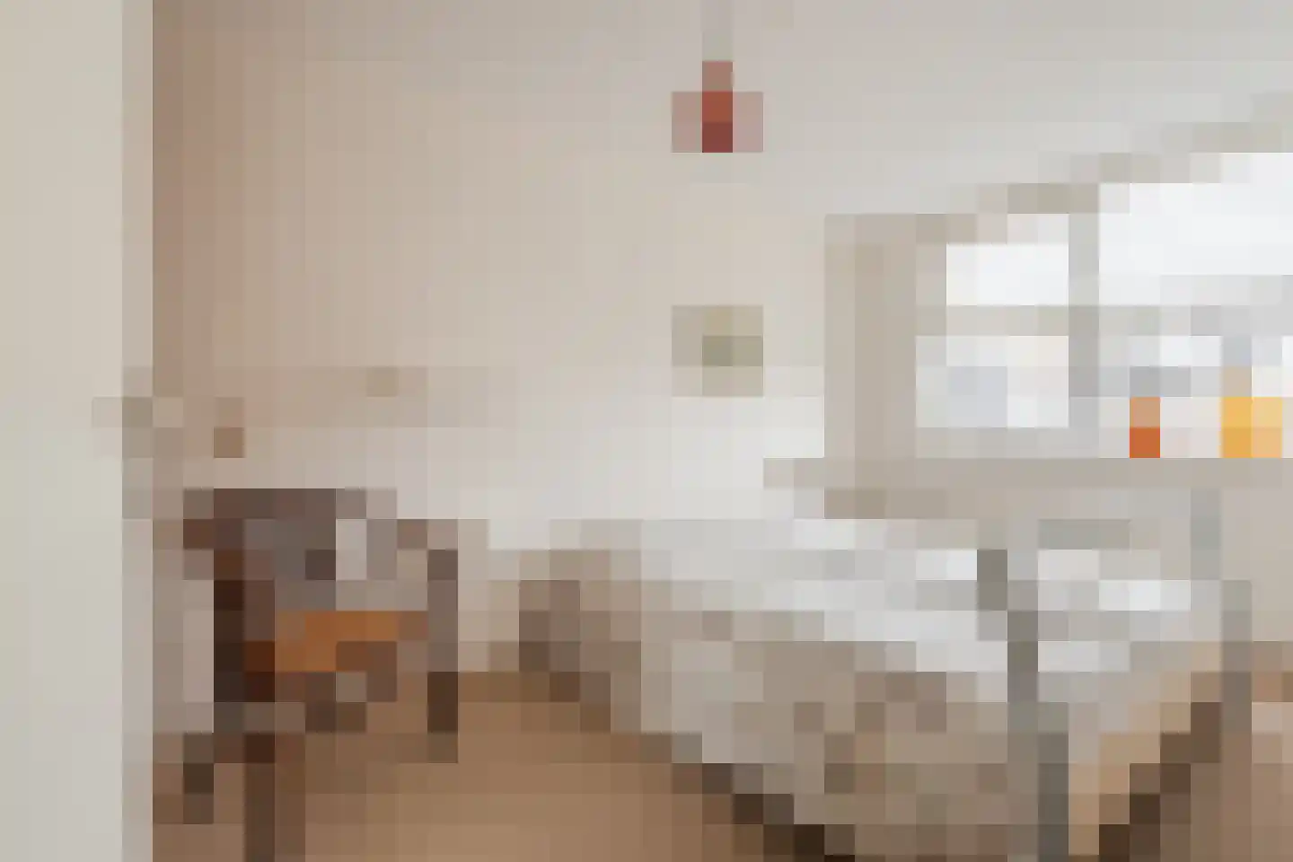 Ruisvoorn 8 Hoogeveen thumbnail 39