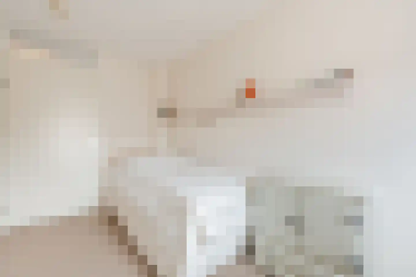 Ruisvoorn 8 Hoogeveen thumbnail 44
