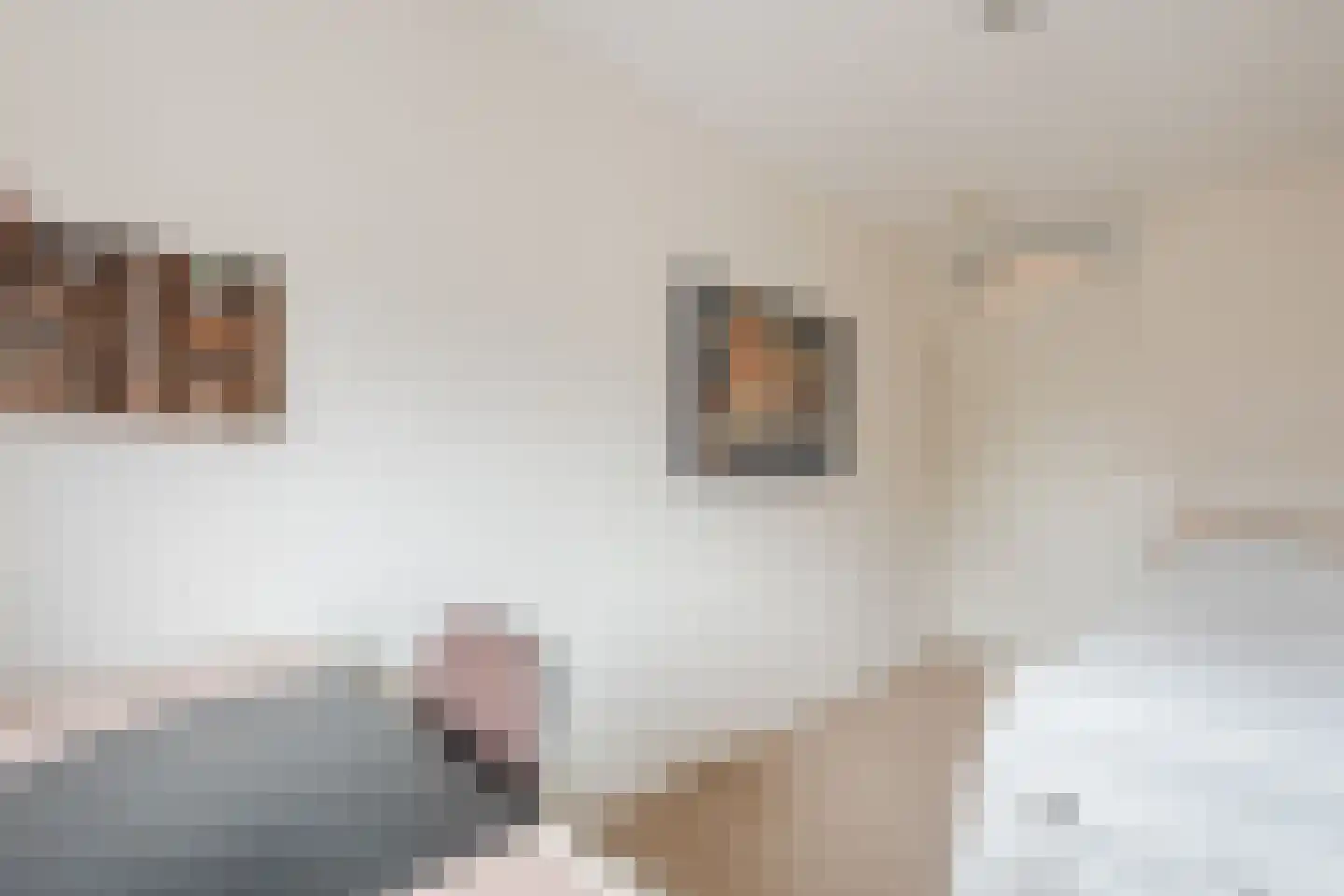 Ruisvoorn 8 Hoogeveen thumbnail 45