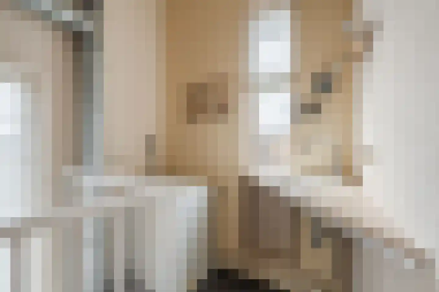 Ruisvoorn 8 Hoogeveen thumbnail 56