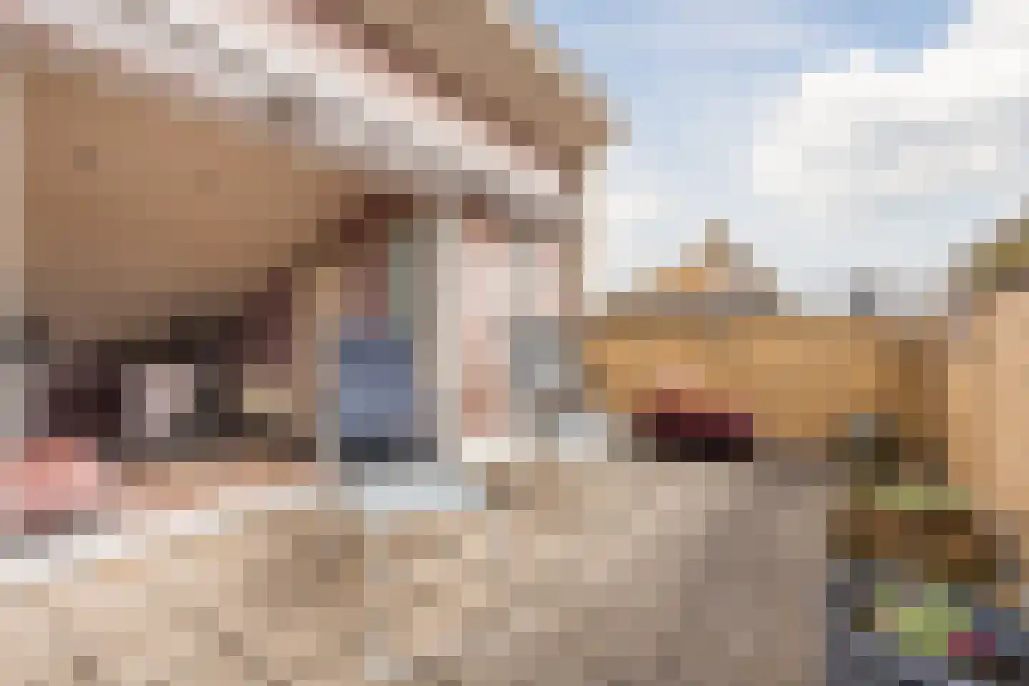 Ruisvoorn 8 Hoogeveen thumbnail 59