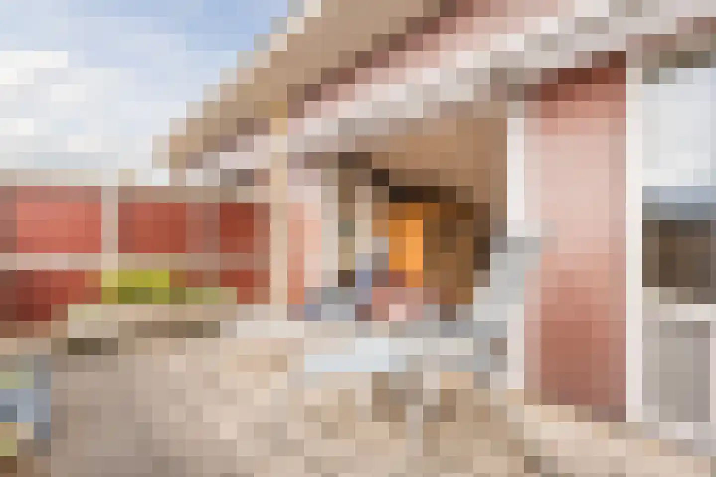 Ruisvoorn 8 Hoogeveen thumbnail 60