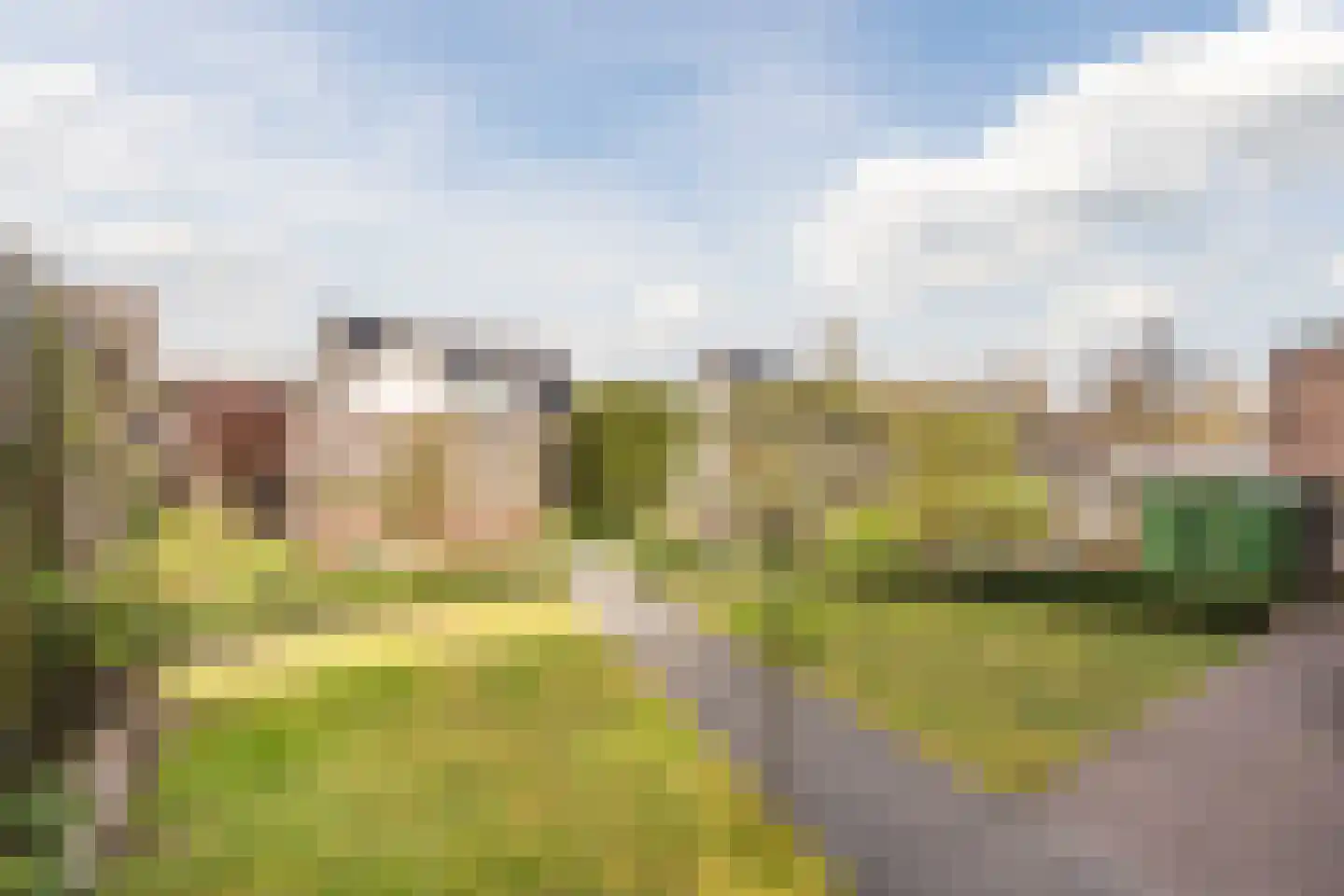 Ruisvoorn 8 Hoogeveen thumbnail 61