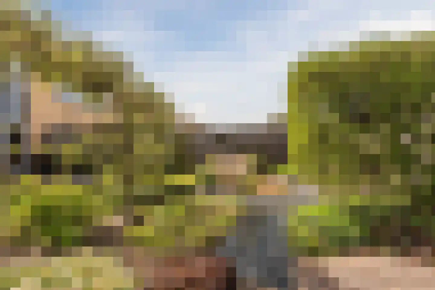 Ruisvoorn 8 Hoogeveen thumbnail 63