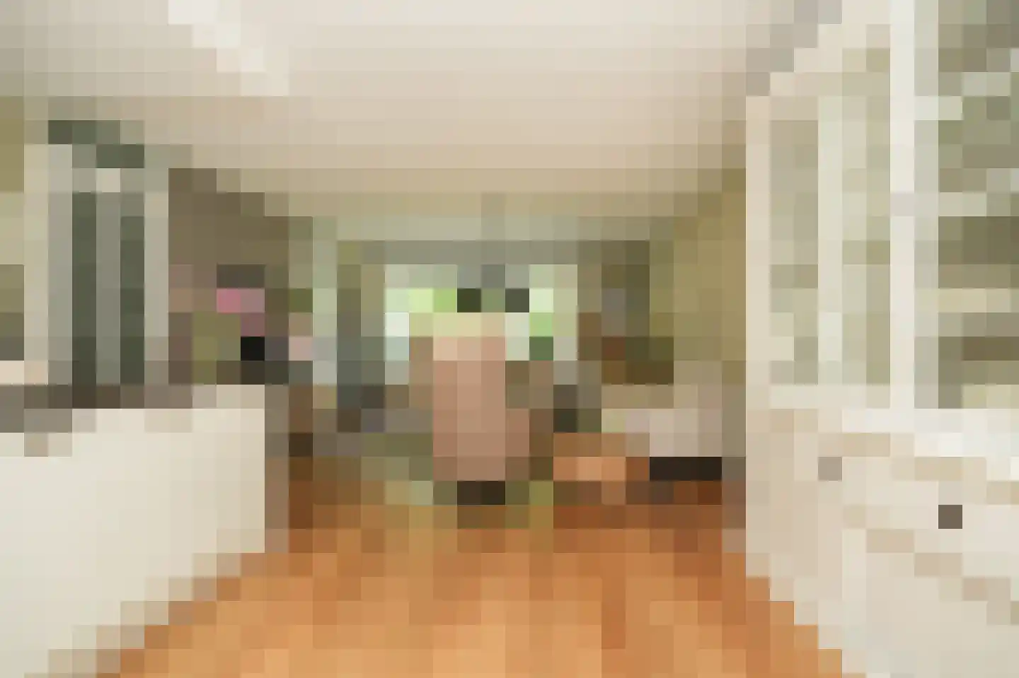 Ruisvoorn 82 Tiel thumbnail 10