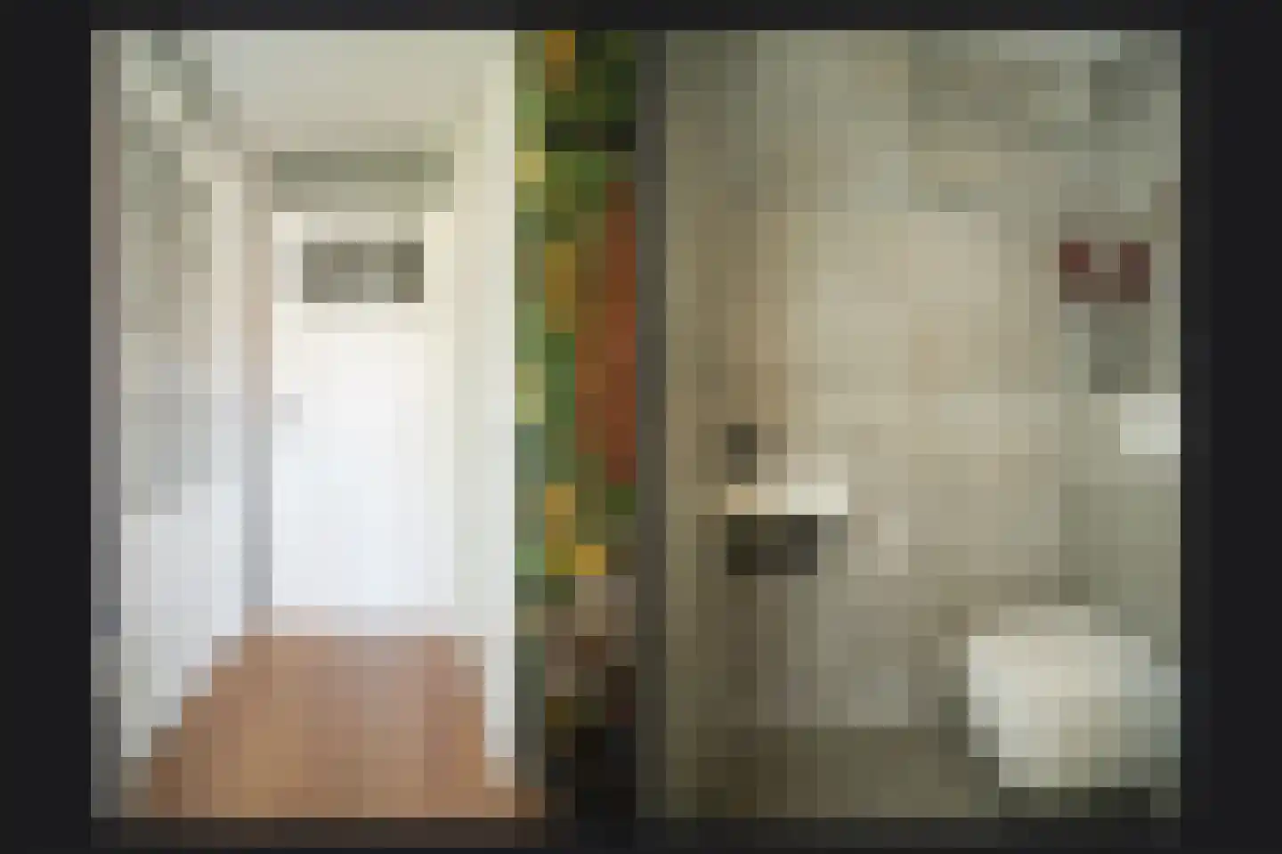 Ruisvoorn 82 Tiel thumbnail 14