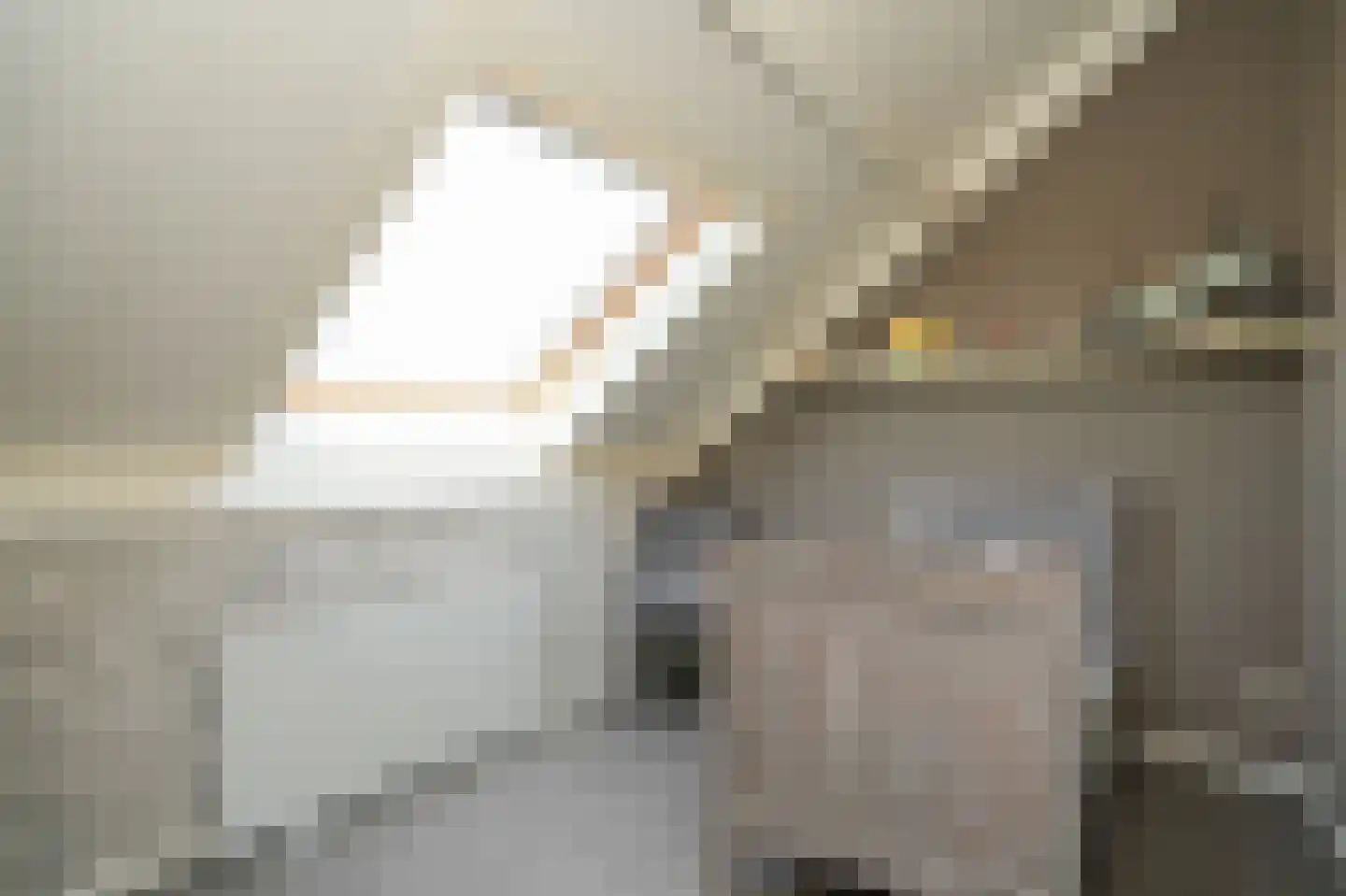 Ruisvoorn 82 Tiel thumbnail 21