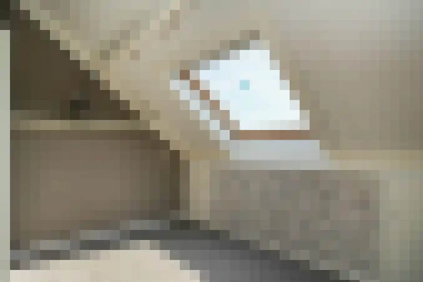 Ruisvoorn 82 Tiel thumbnail 22
