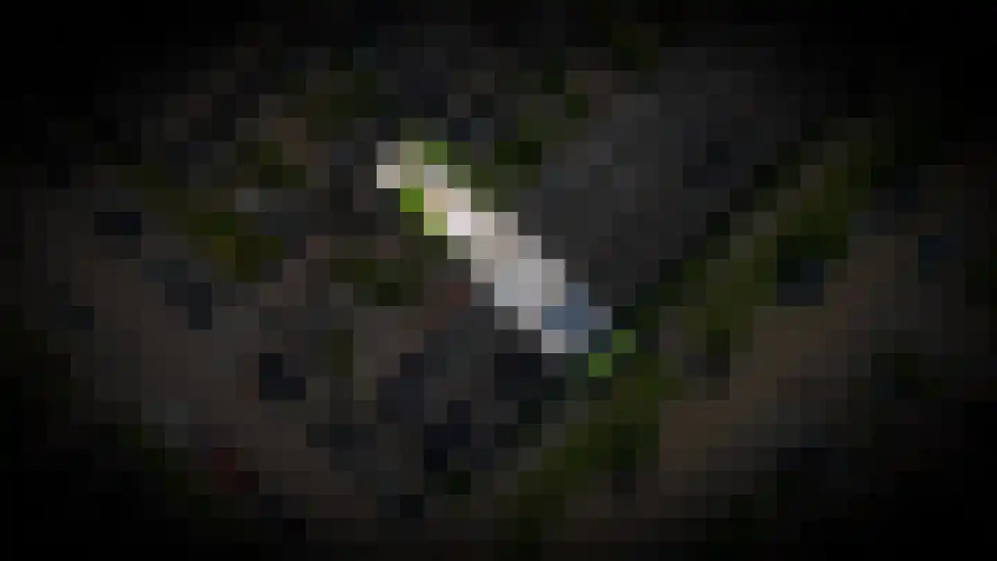 Ruisvoorn 82 Tiel thumbnail 37
